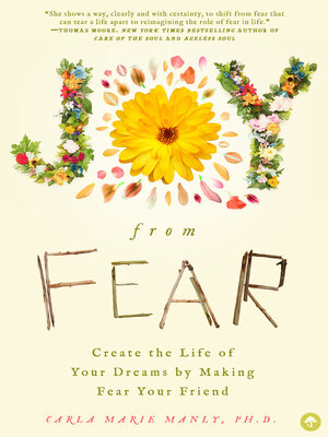 cover image of Joy From Fear